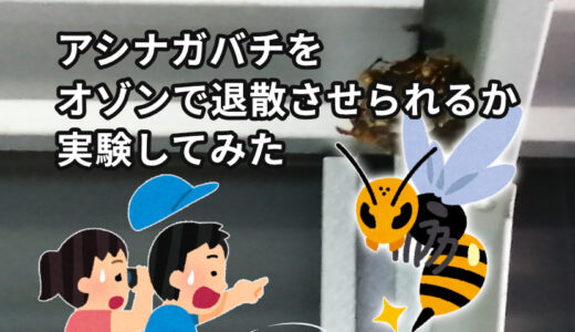 【自由研究】アシナガバチをオゾンで退散させられるか実験してみた